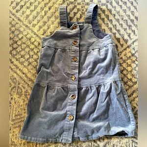 NWOT blue velvet button down dress.